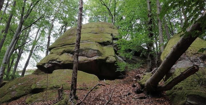 Pfälzer Wald Verein Dahn