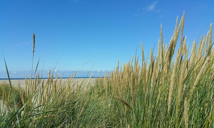 Strandcafe Seeblick